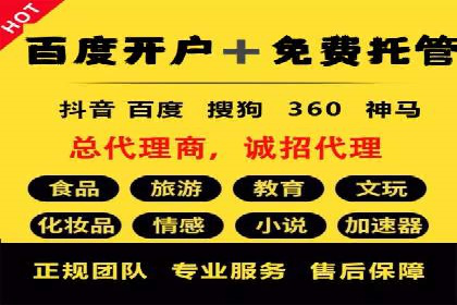百度竞价广告在旅游行业的营销策略及效果